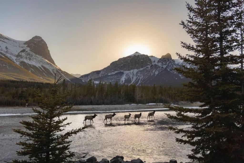 Apartamento Stunning Mountain Views - Pool&Hottub - King Bed - Bbq Canmore Exterior foto